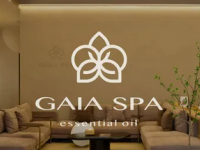 盖娅大地GAIA SPA(丽泽店)